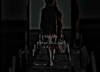 مفيش عشم تيكتوكات