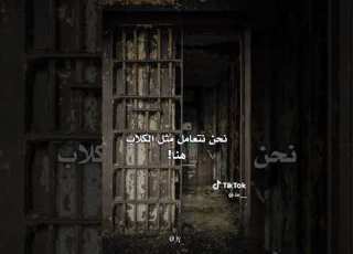 عبارات وجدت في السجون