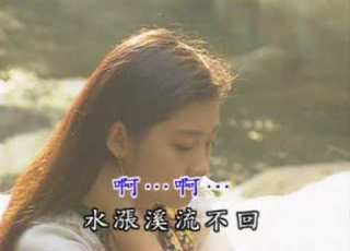挽仙桃 洪榮宏