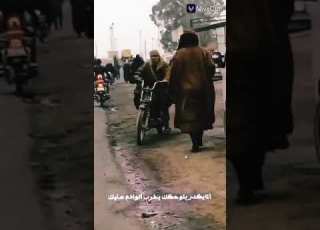  الهواشم ساده قبيلة البكارة