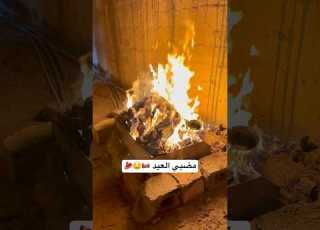  ريوق ثاني يوم عيد المضبي