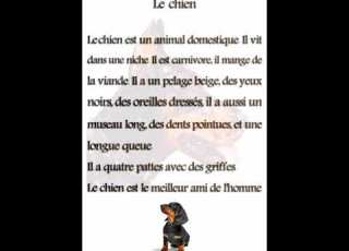 Le Chien وصف الكلب بالفرنسية