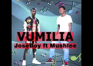  VUMILIA JOSEBOY FT MUSH LEE