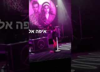 ורוד מבריק אביב גפן בבש