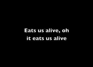 Bird Set Free Sia Lyrics