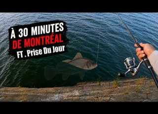  THE BEST MULTI SPECIES SPOT NEAR MONTREAL Ft Prise Du Jour