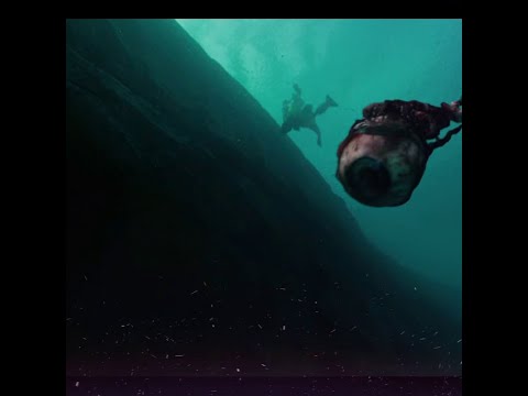 Piranha 3D 2010 Piranha Movie