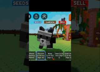67ex كيف تجيب راكون روبلو Roblox Roblox بلو فروتس Growagarden روبلو