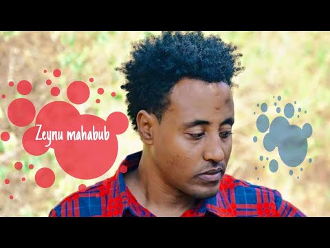 Zeynu Mahbub Jimmaa New Ethiopian Oromo Music 2021 Official Audio