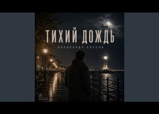 Тихий дождь