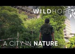 How Singapore S Urban Design Makes Way For Wildlife WILD HOPE