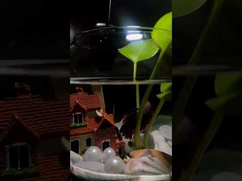 هنا ولا هنا قلي متى تسكن