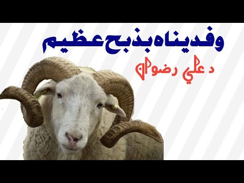 مفاجأة قصة ذبح ابراهيم عليه السلام ولده إسماعيل عليه السلام وماسبب تكبيرات العيد د علي رضوان مفاجأة قصة ذبح ابراهيم عليه السلام ولده إسماعيل عليه السلام وماسبب تكبيرات العيد د علي رضوان