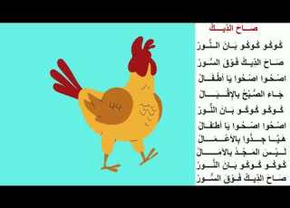 أنشودة صاح الديك سنة أولى الكلمات