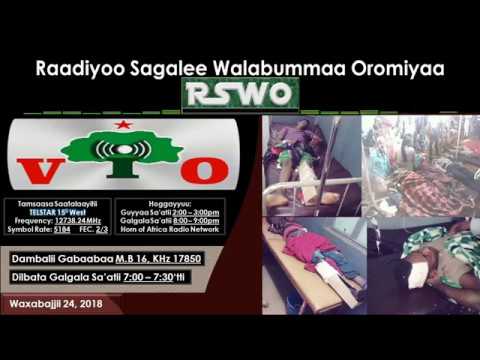 RSWO Waxabajjii 24 2018 Duguuginsi Sanyii Oromoorratti Geggeeffamu Lixa Oromiyaatti Jabaachuu