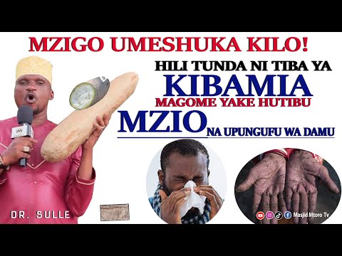 TUMIA NJIA HIZI HILI TUNDA LINATIBU KIBAMIA MAGOME YANATIBU MZIO NA UPUNGUFU WA DAMU DR SULLE