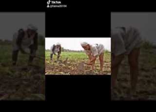  لا بيت أبوي ولا ارضه يتباعو للاغراب قول يافنان