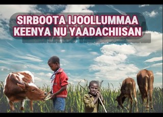 Sirboota Durii Sirboota Ijoollummaa Sirboota Afaan Oromoo Sirboota 90s Dawite Mekonin