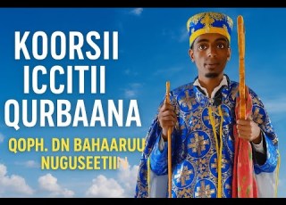  Koorsii Iccitii Qurbaanaa Qoph Dn Bahaaruu Nuguseetiin