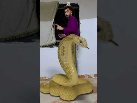 اكبر ثعبان بالعالم Hanyelybani