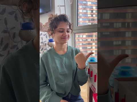 What S To Your Right Kikicutekitty Celebration Relatable Famous Scottishfold Fypage