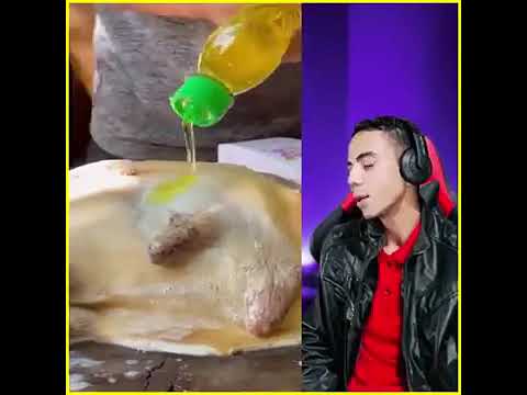 اصغر شيف لطبخ ذره الجاموسه