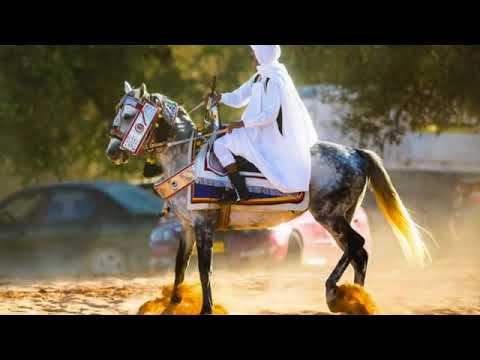 اغنية ليبيه دمعك ماجاب جوده عاليه المطلوبه اغنية ليبيه دمعك ماجاب جوده عاليه المطلوبه