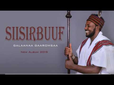 New Galaanaa Gaaromasa7Vol Baallii Album Sirba Aadaa Arsii Arsittii Martiin Unkuruuraa