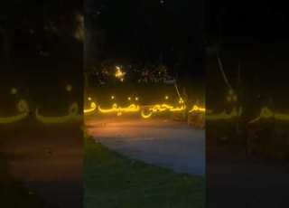  الدنيا حوريه وانا ابراهيم عمار حسني ابلور