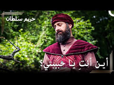 من العبودية للسلطنة 149 هرم ضائعة حريم السلطان