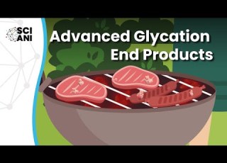  How Do Advanced Glycation End Products Cause Us To Grow Older Quicker