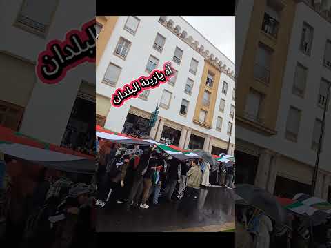 يا لي عليك القلب حزين وهادي سنين تدمع العين لحبيبة يافل سط ين يا لي عليك القلب حزين وهادي سنين تدمع العين لحبيبة يافل سط ين
