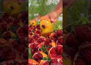  2 يونيو 2023 اجمل رمان في العالم سبحان الله عملوا ابوني حبيبي الغاليين