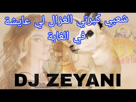 احسن شعبي كبرتي الغزال لي عايشة في الغابة شطيح Cha3bikhatir Cha3bimusic Cha3bimaroc