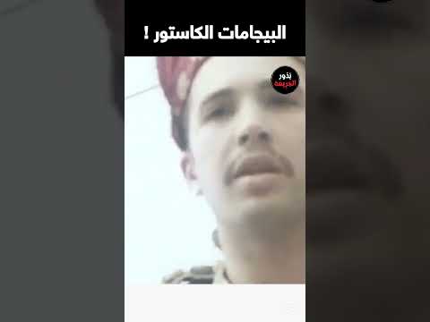 سر البيجامات الكاستور المصرية