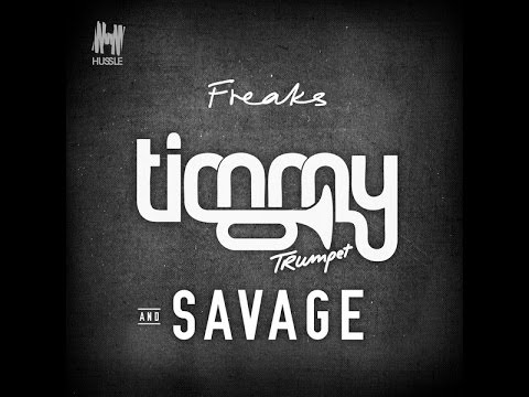 Timmy Trumpet Freaks Radio Edit