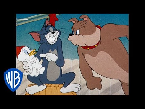 Tom Y Jerry En Español Dibujos Animados Clásicos Compilación Tom Jerry Y Spike WB Kids