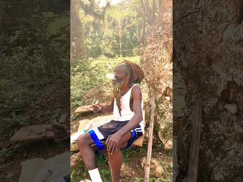 Jamaican Rasta Full Of Power Reggae Bobmarley Reggaemusic Music Rastafari Rastamusic Reggae