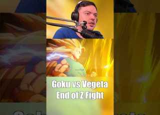 Goku Vs Vegeta END OF Z Fight