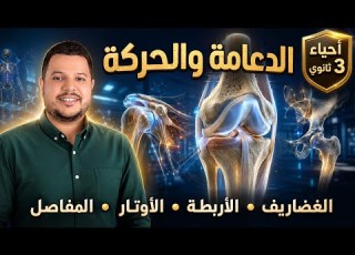 الدعامة والحركة شرح الغضاريف والأربطة والأوتار والمفاصل أحياء 3 ثانوي 2027