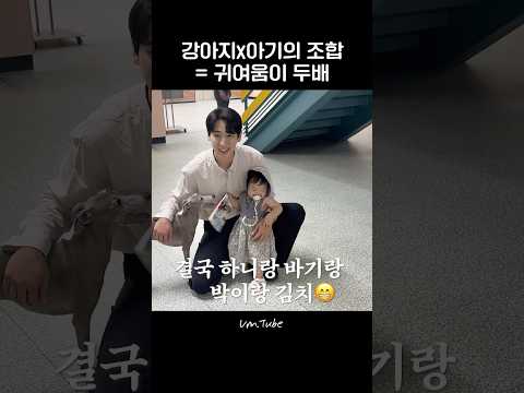 강아지x아기의 조합 귀여움이 두배 독수리오형제를부탁해 하니 윤박