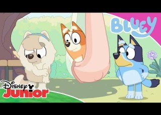 Butterflies Bluey Disney Junior Arabia