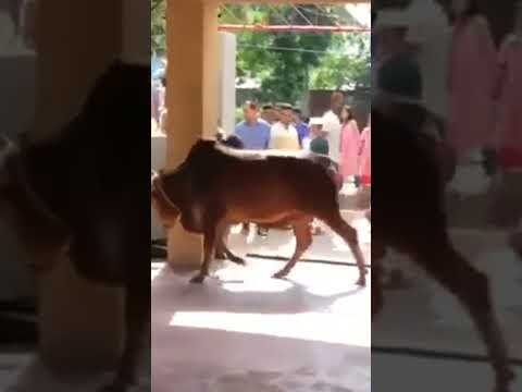 Eidun Saeed Ytshort 28 June 2023