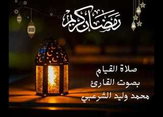  سورة يس سورة الصافات سورة ص سورة الزمر سورة غافر بصوت القارئ محمد وليد الشرعبي