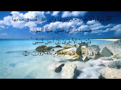 سورة الزمر بصوت محمد صديق المنشاوي بدون صدى