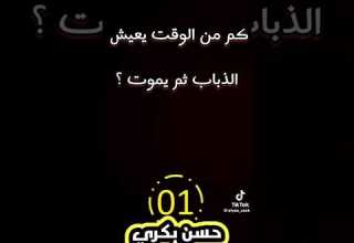 كم هي المدة الزمنية الذي يعيش فيها الذباب ثم يموت معلومات عامة