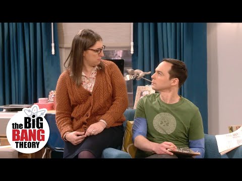 Sheldon Wants 15 Kids The Big Bang Theory