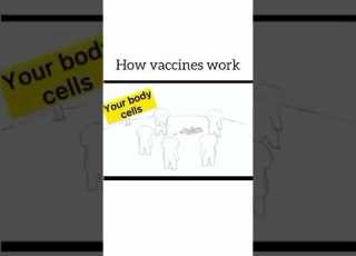 How Vaccine Works Medicaleducation Covid19 Science
