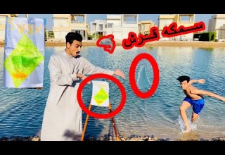 لما تلاقي سمكه قرش في البحر القيصر