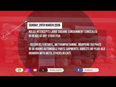 WEEKLY REVIEW 23RD MARCH 29TH MARCH 2026